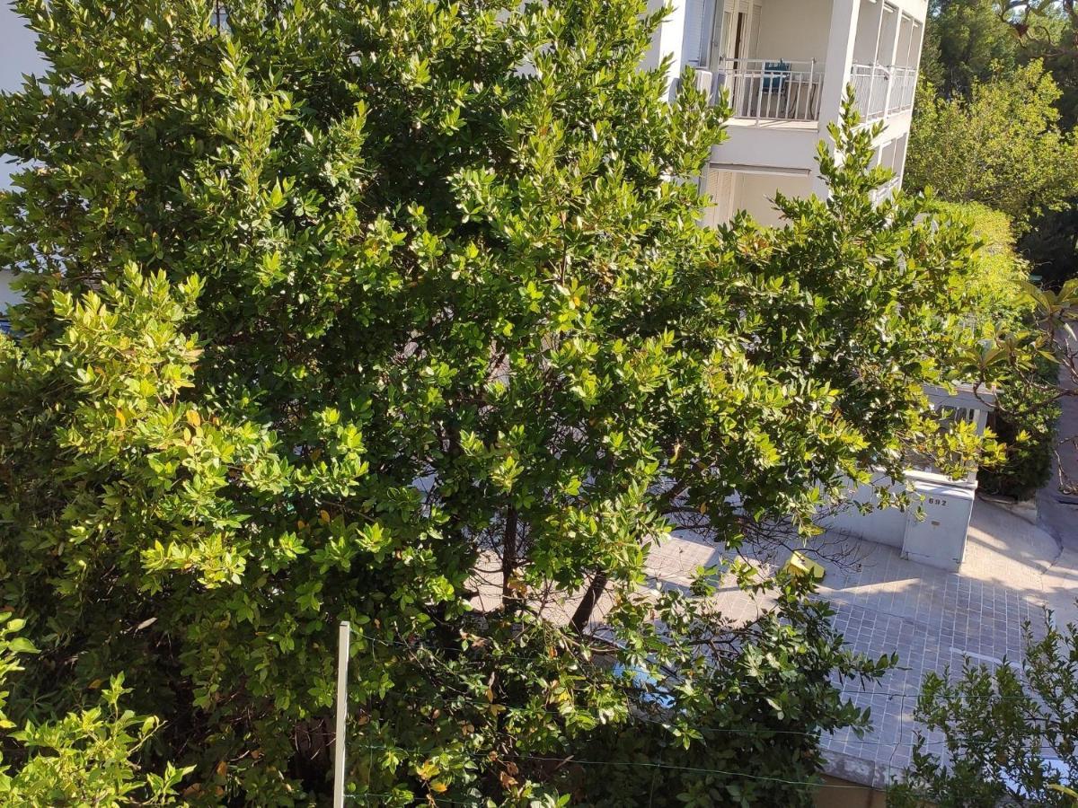 Apartments Ivo Makarska Luaran gambar